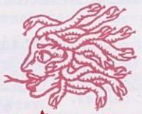 Serpentine Medusa Head