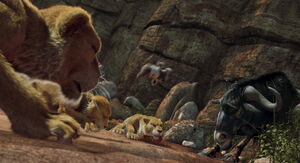 A stuffed koala suddenly falls in front of them.