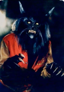 Werecat Form