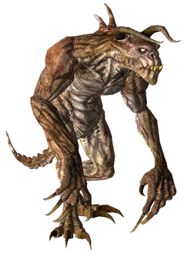 Fallout 3 & New Vegas