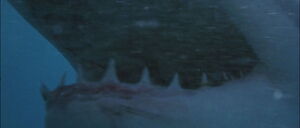 Jaws2-movie-screencaps com-2287