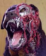 The Slayhound with parts of his face endoskeleton visible.