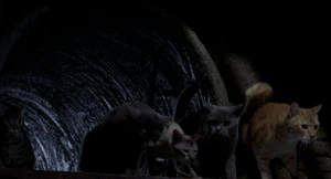 Smokey and his gang follow Stuart through the tunnels.