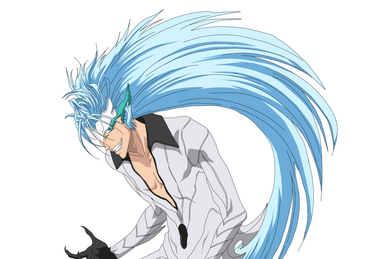 Ulquiorra Cifer, Bleach Wiki