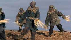 Here come the Scarecrows