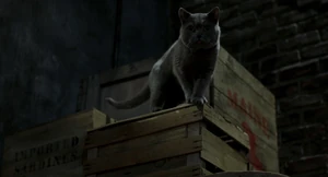 (Snowbell: Thank you, Mr. Smokey, sir. I'll never forget this, really.)