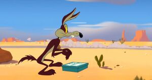 Wile E. Coyote 2020 58