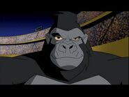 285661-1435779-gorilla-grodd super