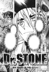 Chapter 221Dr stone.webp (98 KB)