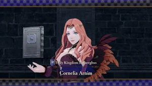 Cornelia Arnim introduction.jpeg (561 KB)