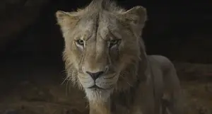 Scar glaring angrily at Mufasa for stealing his destiny and promising revenge against him, foreshadowing his future