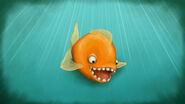 A wallpaper of the Goldfish.