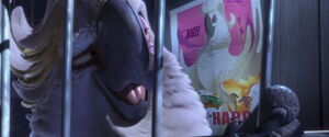 "...but I used to be quite a looker. A star."