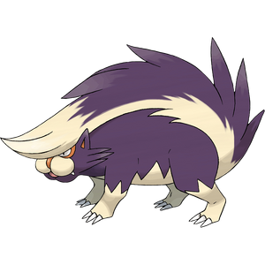 Skuntank ♀