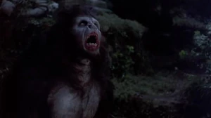 Dracula in his werewolf like form.