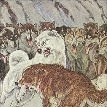Spitz Gallery Villains Wiki Fandom