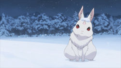 The Rabbit spots Subaru