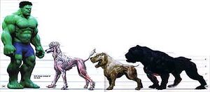 Hulk and Hulk-dog size comparison chart.