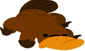 Camp camp hot sale platypus plush
