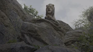 "If you wish to kill something, you might want to stay downwind."