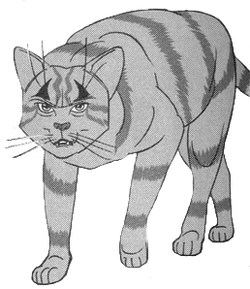 Tigerstar, Warrior Cats Villains Wiki