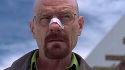 Walt s4.jpg