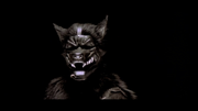 Deepinthewoods.png