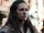 Echo (The 100)