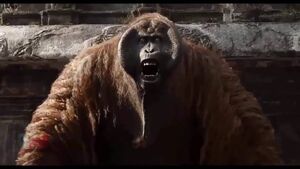 King Louie as he appears in the 2016 live-action remake.