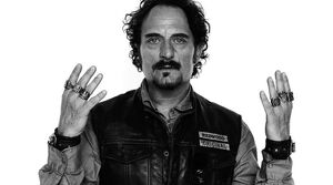 TIg.jpg