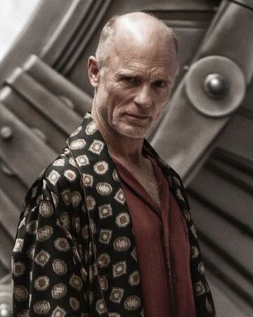 Wilford Villains Wiki Fandom