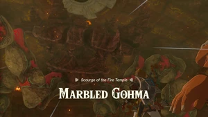 TotK Marbled Gohma Intro.png (4.28 MB) Marbled Gohma's introduction.