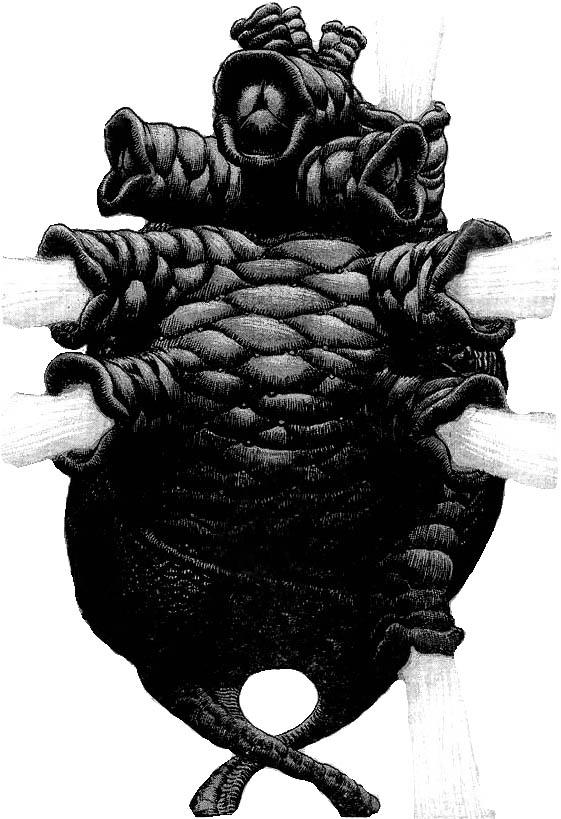 God of the Abyss (1)”, Berserk Wiki