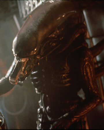 Nostromo Drone Villains Wiki Fandom