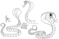 Model sheet of Snake Jafar (1)