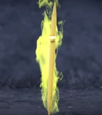 Grapefruit is toothpick