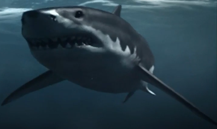 Megalodon (Jurassic Fight Club) | Villains Wiki | Fandom