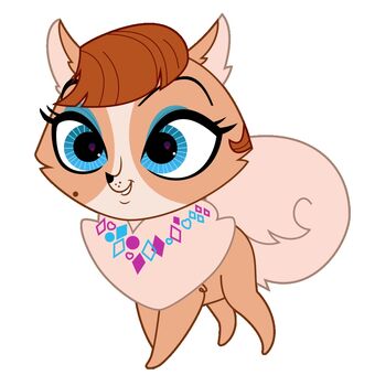 dachshund cream long haired