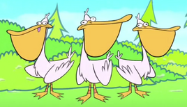Pelicans