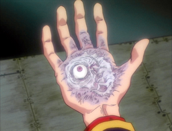 Adam on Gendo's Hand