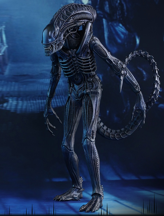 alien xenomorph warrior