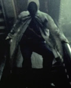 Gerald Demus Stairs.jpg (152 KB) Gerald running down the stairs.