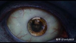 Lord Redmane’s eyes
