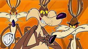 Looney Tunes Wile E Coyote Genius Extraordinaire 30 Minutes