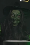 An "Old Witch From Reform", likely a reference to Sarah Pochin.