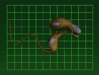 B-D.Jr Dobkeratops Junior.gif