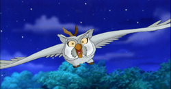 Owl Stellaluna attacks