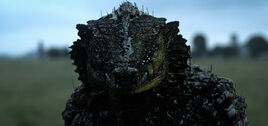 Rakka main-1280x600