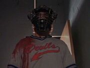 Thecatcher.jpg