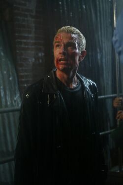 Spike (Buffyverse), Villains Wiki